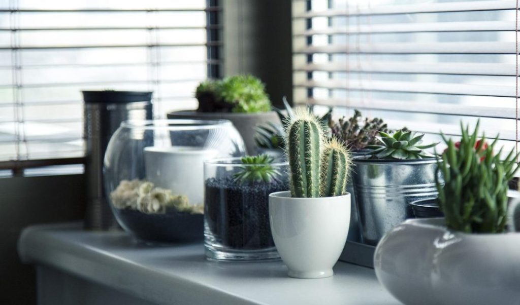Nederlandse huiskamer ingericht om je huis eigen te maken met bloemen, kleurrijke kussens en gezellige verlichting voor een w